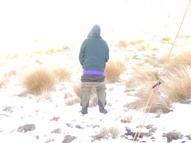48174_Peeing-in-the-Snow_620