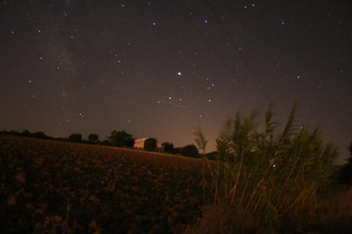 notte notte