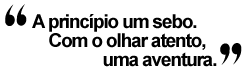 A princípio um sebo... com um olhar mais atento: uma aventura!